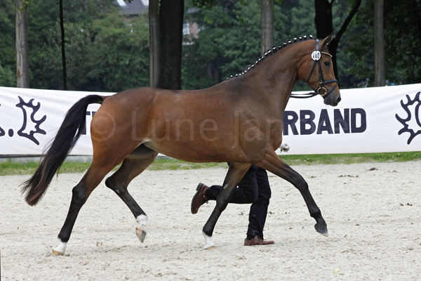 Cousina © Lune Jancke